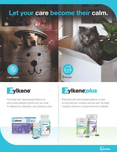 Zylkene Veterinarian Detailer