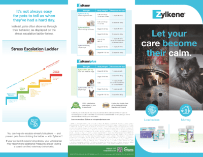 Zylkene Pet Owner Brochure