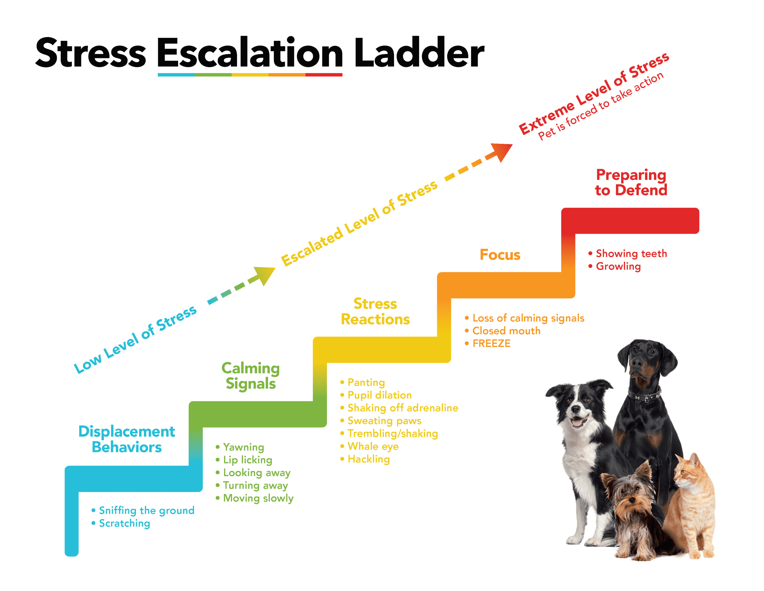 Zylkene stress escalation ladder