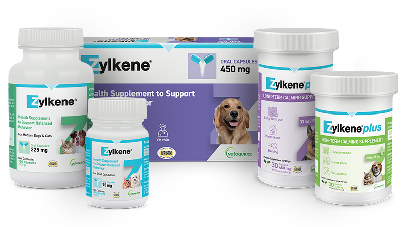 Zylkene-homepage-left-image Zylkene group