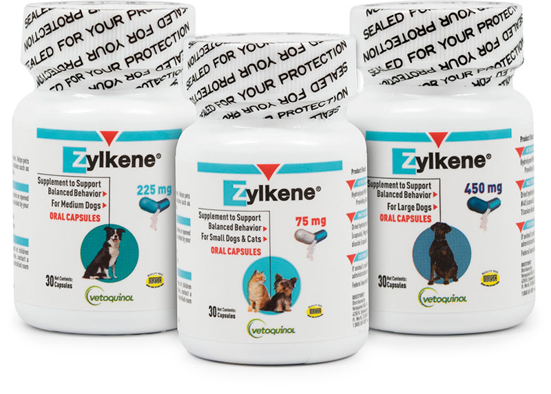 Product Info - Zylkene