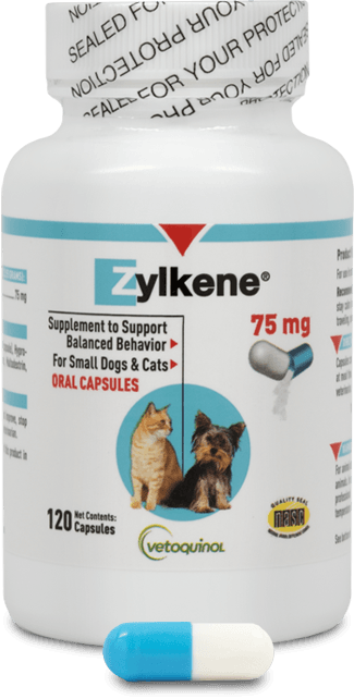 Zylkene for 2025 dogs side effects