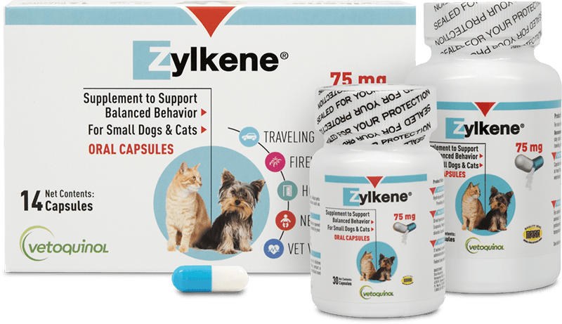 Zylkene dosage for outlet cats