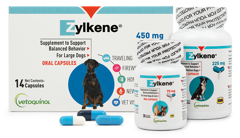 Zylkene capsules for clearance dogs